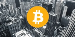 How Is Bitwise Reinvesting ETF Profits to Support Crypto Ecosystem?