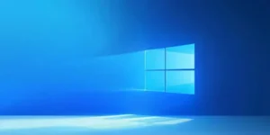 What is Causing RDP Issues with Windows 11 24H2 Update?