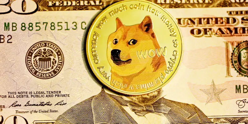 Panshibi Gains Momentum as Dogecoin Enthusiasts Eye New Memecoin