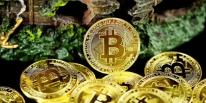 Gold-Backed Stablecoins: The Future of Reliable Digital Currency