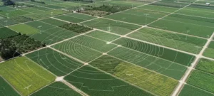 Can Parametric Insurance Secure Ecuador’s Farming Future?