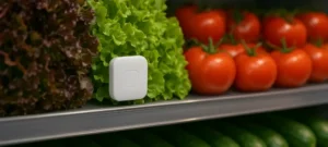Trend Analysis: IoT Integration in Food Safety