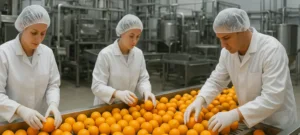 Choosing the Best ERP Solution for the Agribusiness Sector